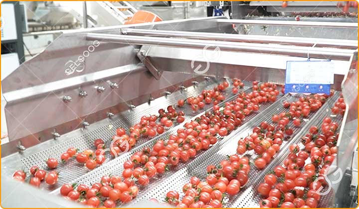 Caractéristiques De La Machine À Égoutter Les Tomates.jpg