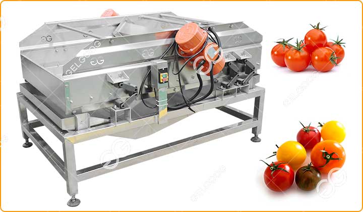 Avantages De La Machine À Égoutter Les Tomates.jpg