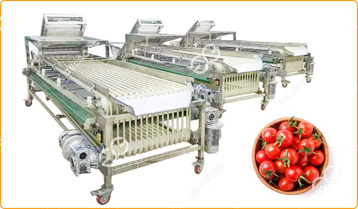 Caractéristiques De La Machine À Calibrer Les Tomates Cerises.jpg