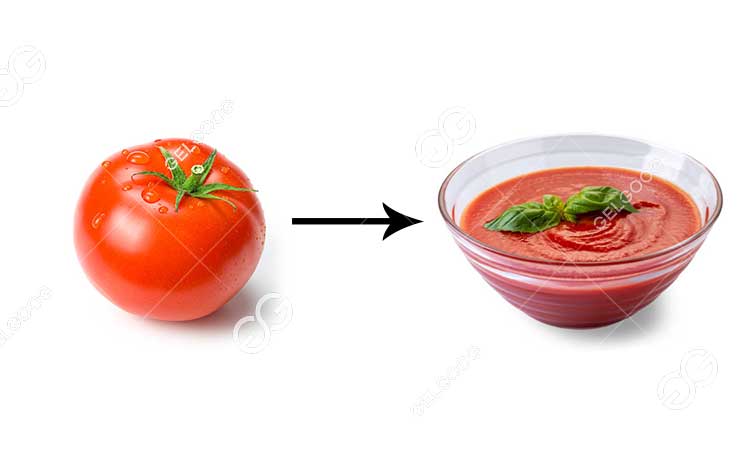 Comment Préparer La Sauce Tomate À Partir De Tomate Fraîche.jpg
