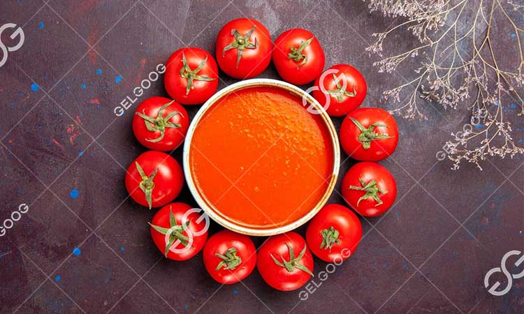 Rapport Sur Le Projet De Fabrication De Purée De Tomates.jpg