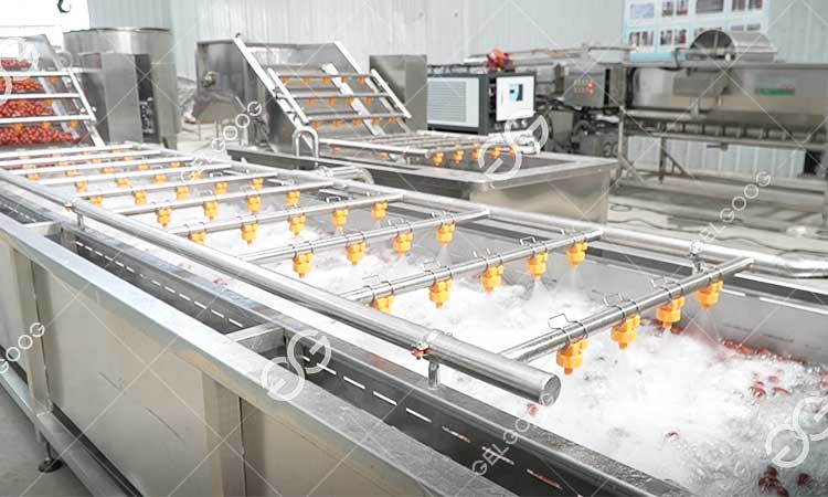 Pourquoi La Machine À Laver Les Tomates Est-Elle Importante.jpg