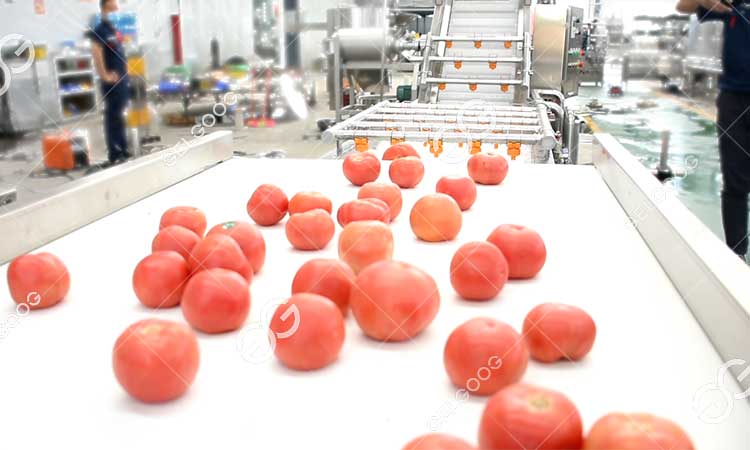 Laver Les Tomates.jpg