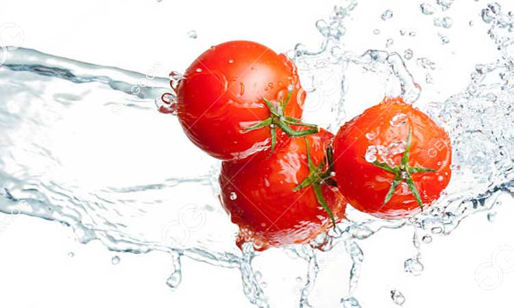 Comment Les Fabricants Soucieux De L'Hygiène Lavent Les Tomates.jpg