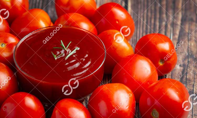 Organigramme - Processus De Fabrication Du Ketchup De Tomate.jpg