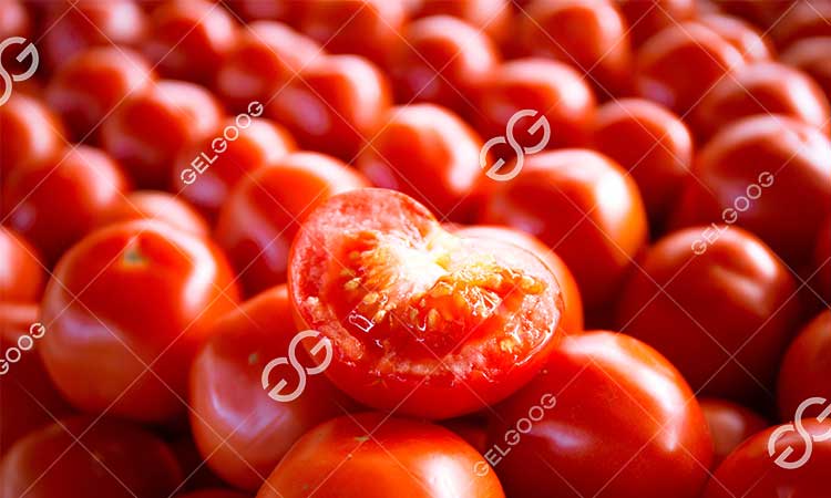 Tomates.jpg
