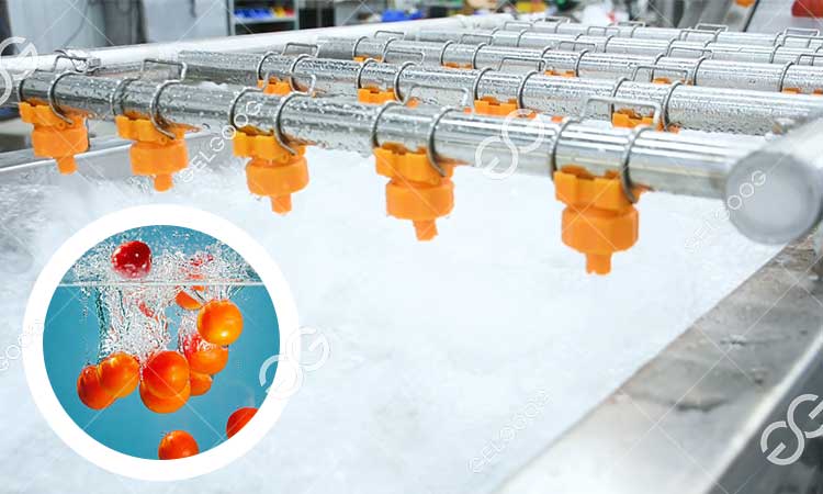 Comment Laver Les Tomates Cerises Efficacement.jpg