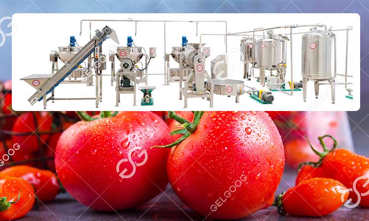 Étapes De La Transformation Des Tomates En Usine.jpg
