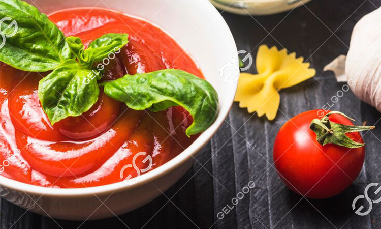 Quel Est Le Processus De Production De La Sauce Tomate.jpg