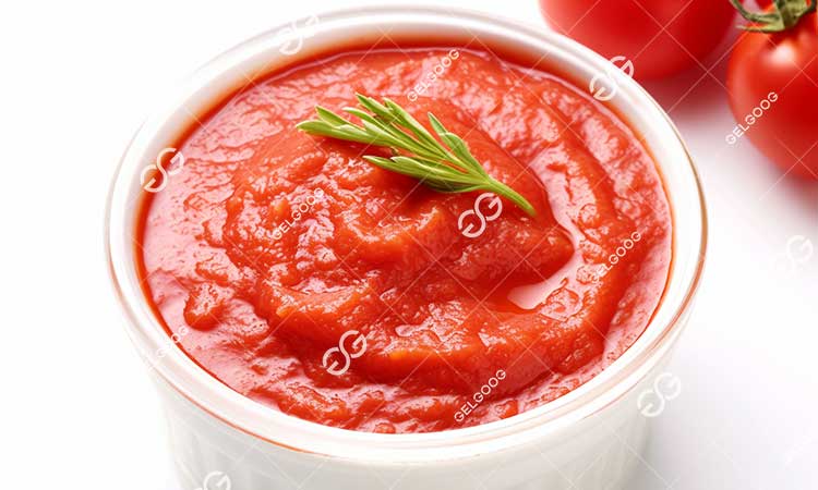 Processus De Fabrication Du Concentré De Tomates.jpg