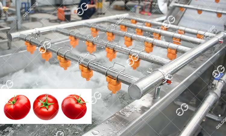 Quelle Machine Est Utilisée Pour Faire De La Sauce Tomate.jpg