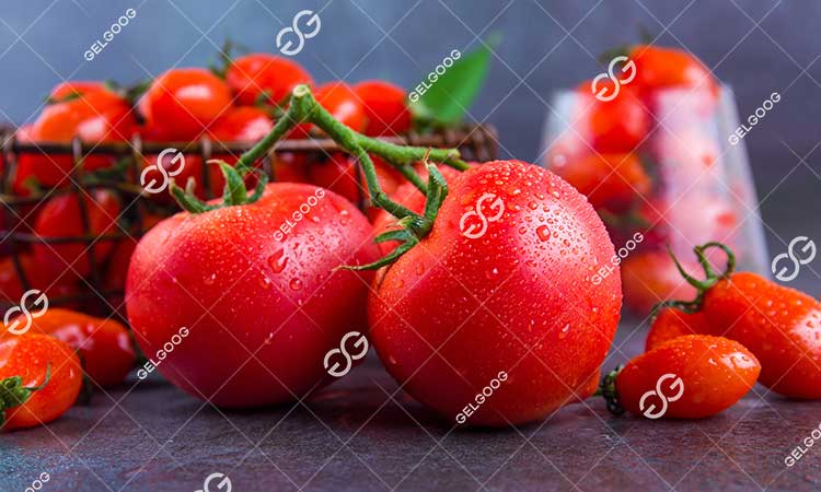 Quelle Est La Matière Première De La Pâte De Tomate.jpg Quelle Est La Matière Première De La Pâte De Tomate.jpg