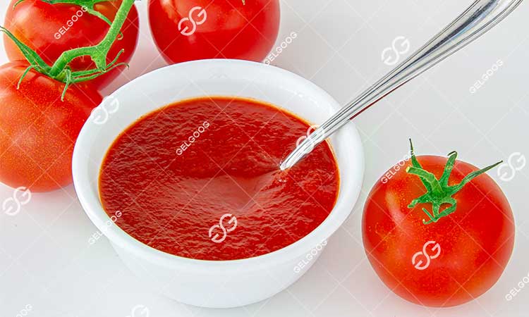 Processus De Fabrication Industrielle Concentré De Tomate