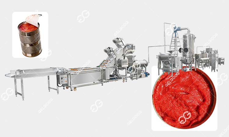 Pourquoi Se Lancer Dans La Production De Concentré De Tomate