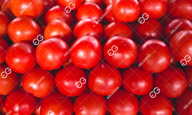 Principe De Fonctionnement De La Trieuse De Tomates
