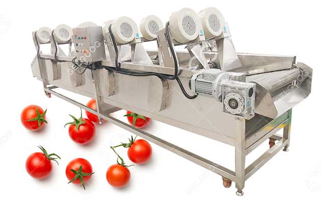 Machine De Séchage À L'Air De Tomates.jpg