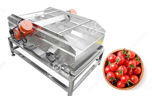 Machine À Égoutter Les Tomates.jpg