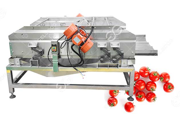 Machine À Égoutter Les Tomates À Vibration Après Lavage