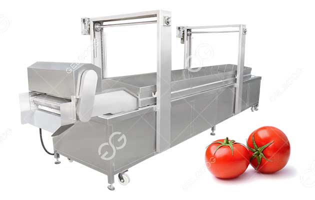 Machine À Blanchir Les Tomates À L'Eau Chaude En Continu.jpg