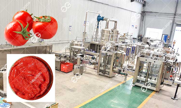 Le Concentré De Tomate Est-Il Composé À 100 % De Tomates.jpg